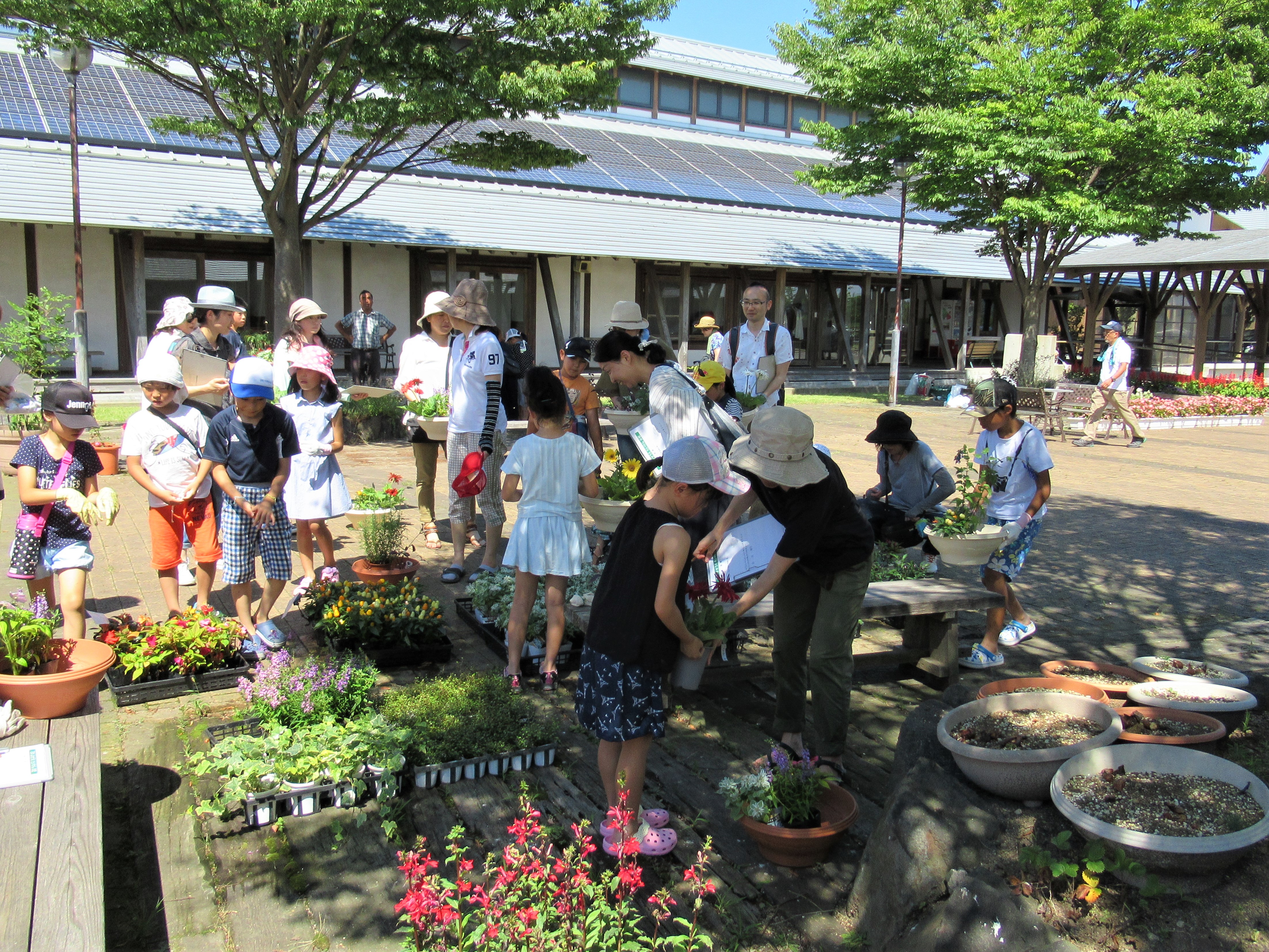 夏休みに親子で花育 園芸寄せ植え講座を開催しました 秋田県花いっぱい運動の会