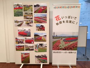 秋田県花いっぱい運動の会ブース(2)